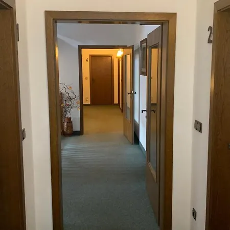 阿尔门劳什酒店 酒店 Neukirchen (Erzgebirgskreis)