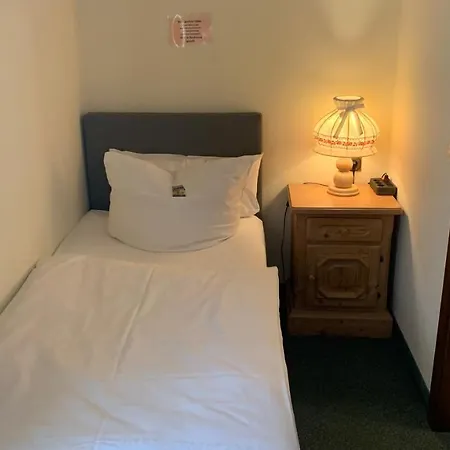 阿尔门劳什酒店 Neukirchen (Erzgebirgskreis)