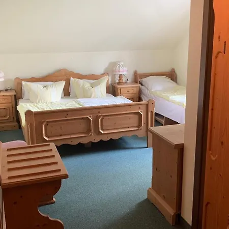 酒店 阿尔门劳什酒店 Neukirchen (Erzgebirgskreis)