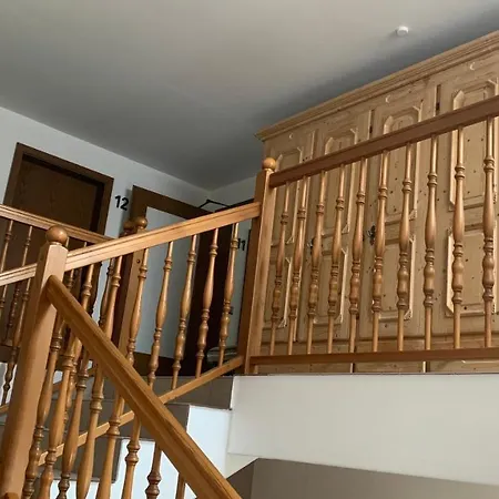 阿尔门劳什酒店 酒店 Neukirchen (Erzgebirgskreis)