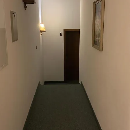 酒店 阿尔门劳什酒店 Neukirchen (Erzgebirgskreis)