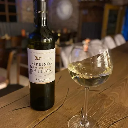 阿尔门劳什酒店 3* Neukirchen (Erzgebirgskreis)