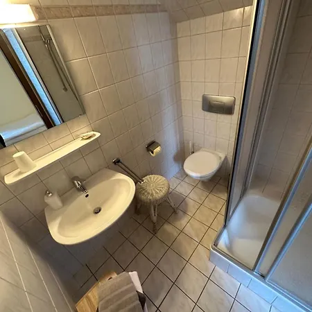 阿尔门劳什酒店 3* Neukirchen (Erzgebirgskreis)