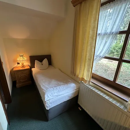 酒店 阿尔门劳什酒店 Neukirchen (Erzgebirgskreis)