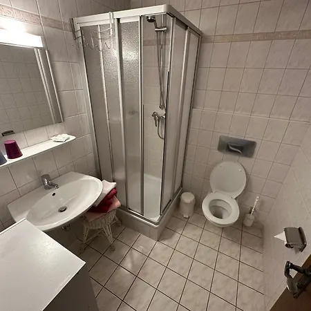 阿尔门劳什酒店 3* Neukirchen (Erzgebirgskreis)