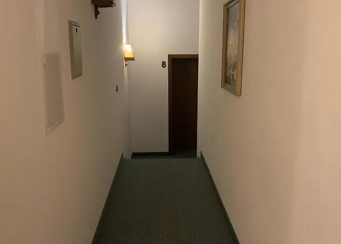 Hotel Almenrausch Neukirchen (Erzgebirgskreis)