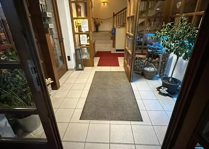 Hotel Almenrausch Neukirchen (Erzgebirgskreis)