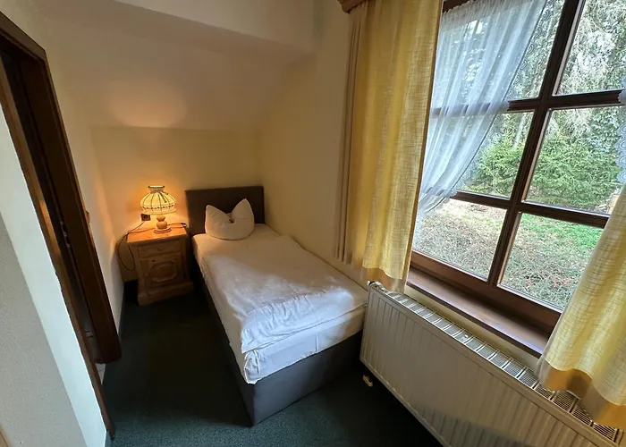 Hotel Almenrausch Neukirchen (Erzgebirgskreis)