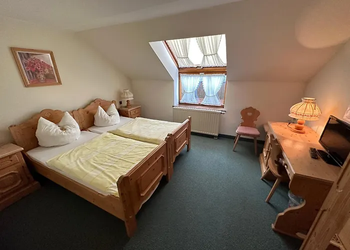 Almenrausch Hotel Neukirchen (Erzgebirgskreis)